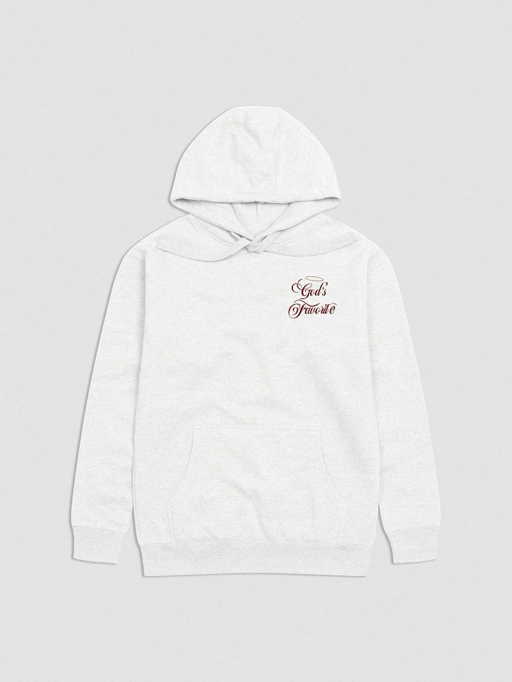 Embroidered Hoodie - God's Favorite (NO WINGS) product image (1)