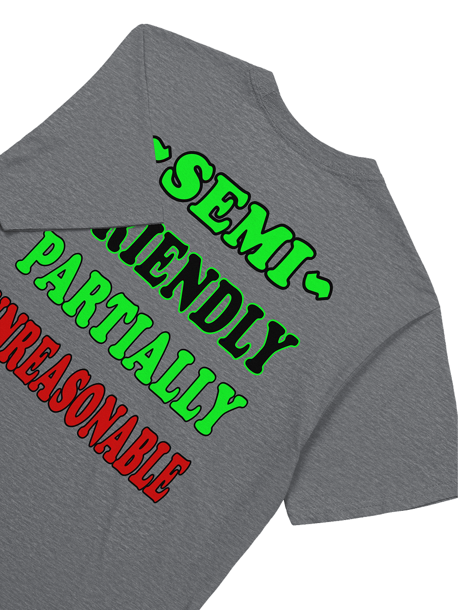 SEMI FRIENDLY TEE product image (6)