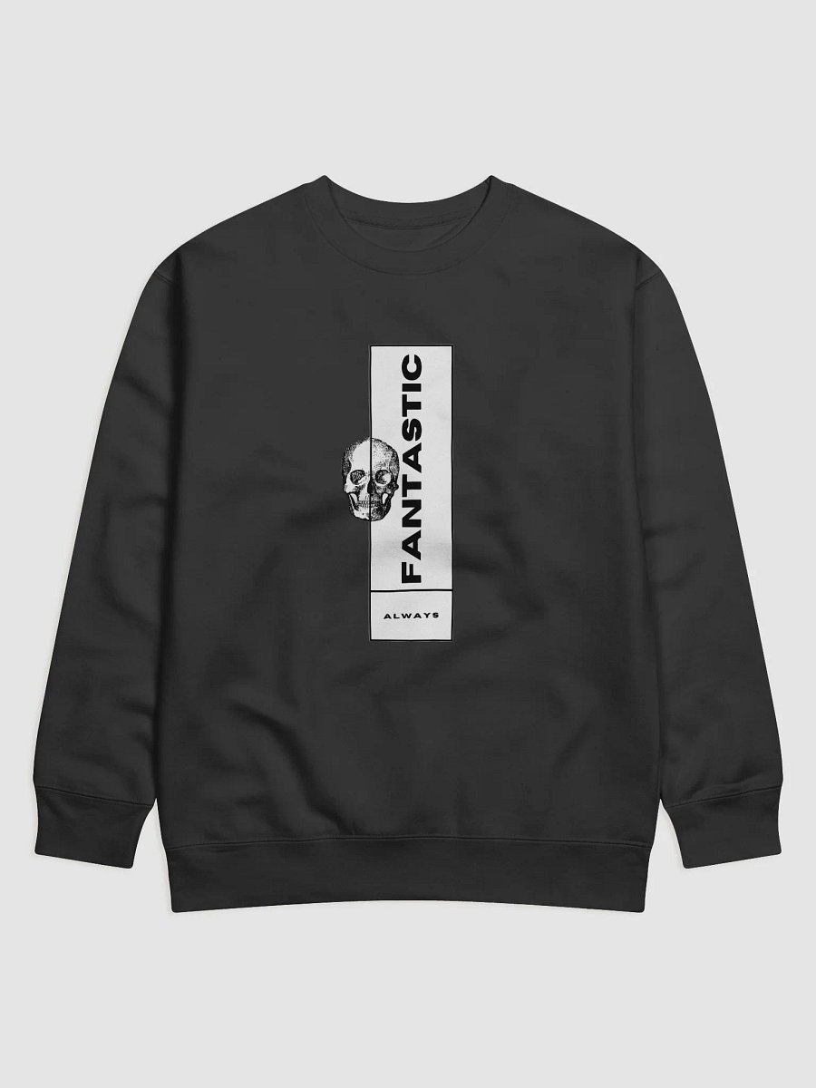Fantastic Skull Premium Sweatshirt product image (1)