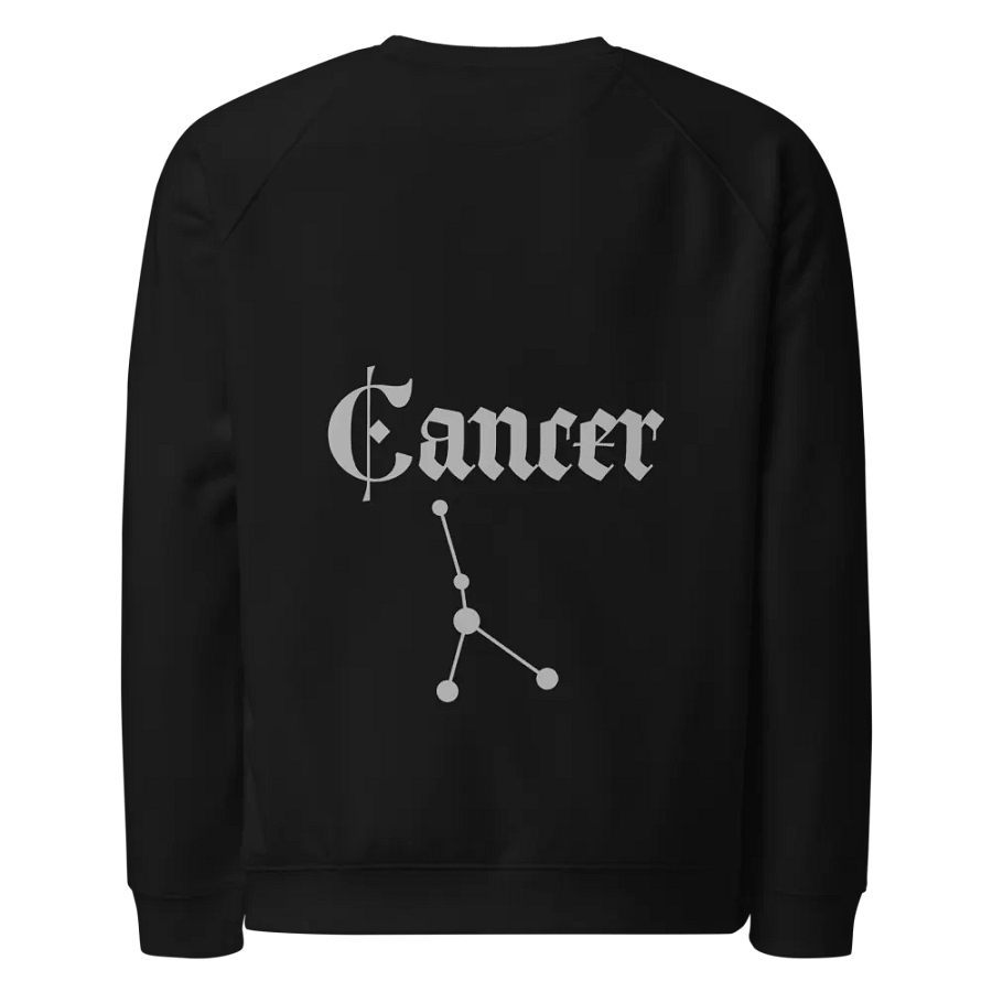 Zen Cancer Circle Unisex Raglan Sweatshirt product image (13)
