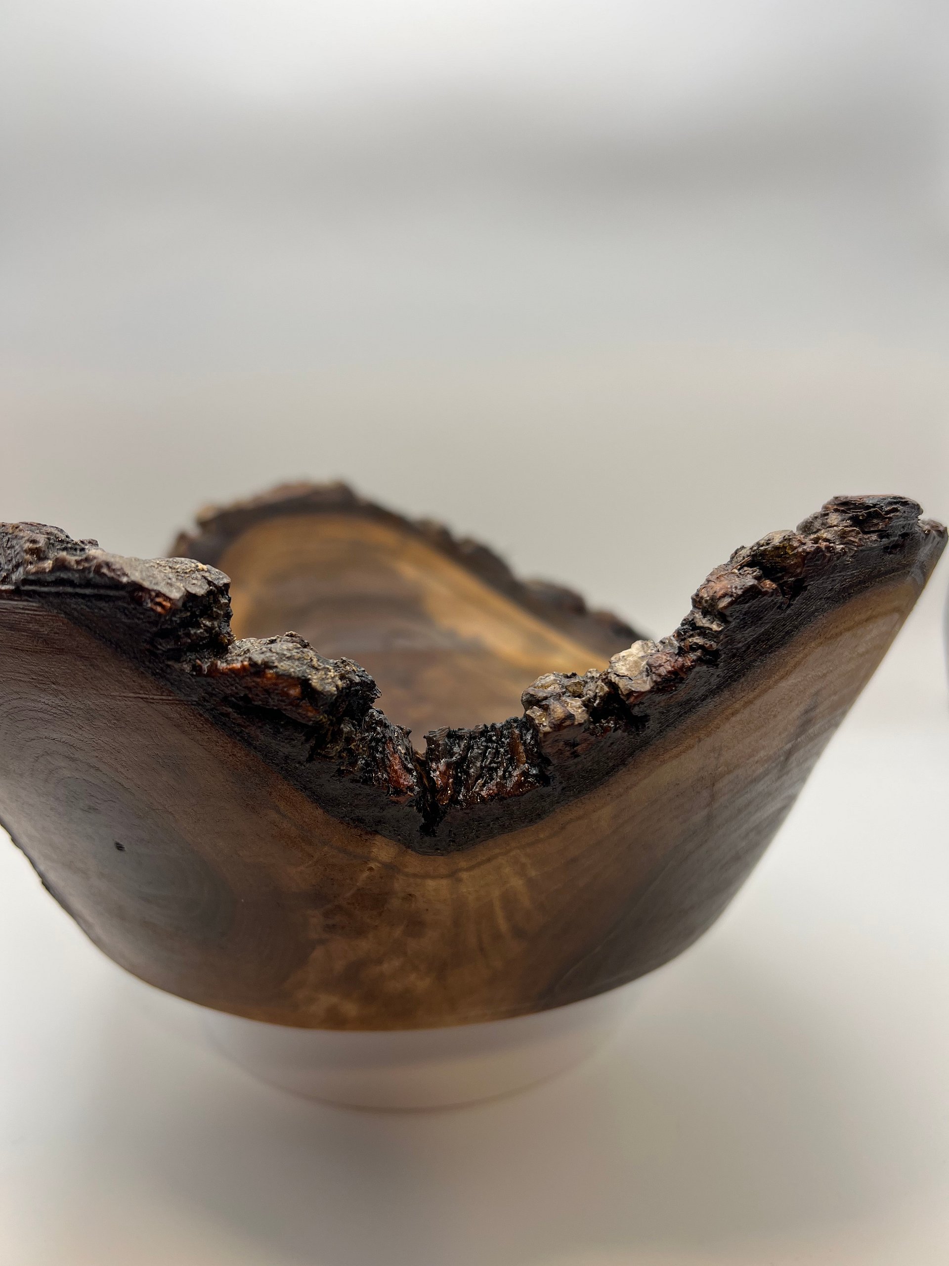 Tri-Corn Black Walnut Bowl — Live Edge Decorative Display Piece product image (3)