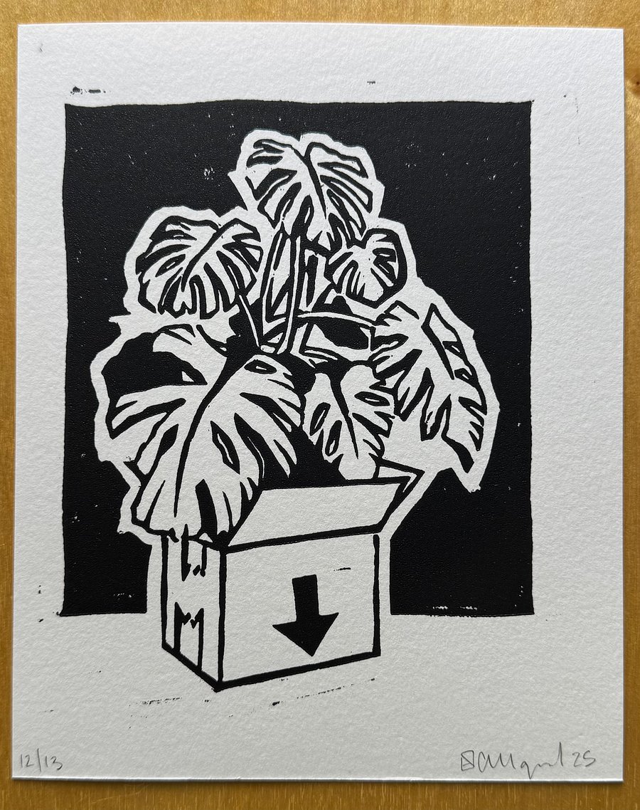 ORIGINAL - Monstera product image (1)