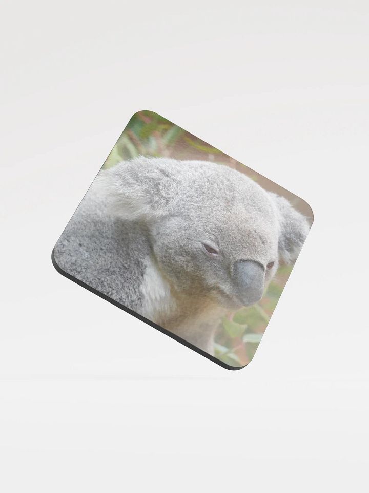 Koala Coaster product image (1)