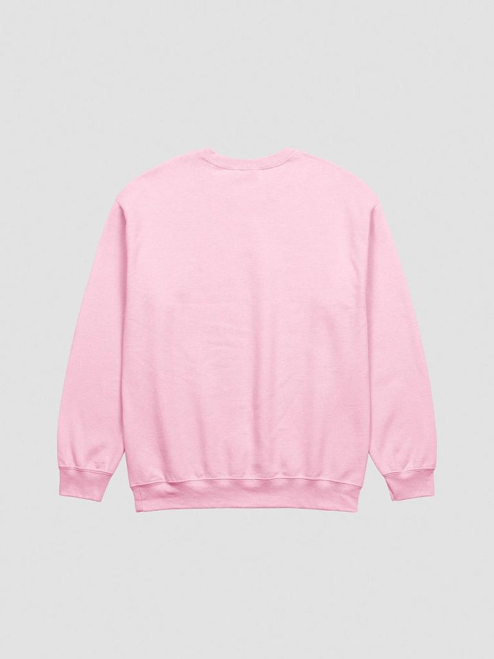 #FASS - Pink Sweatshirt product image (2)