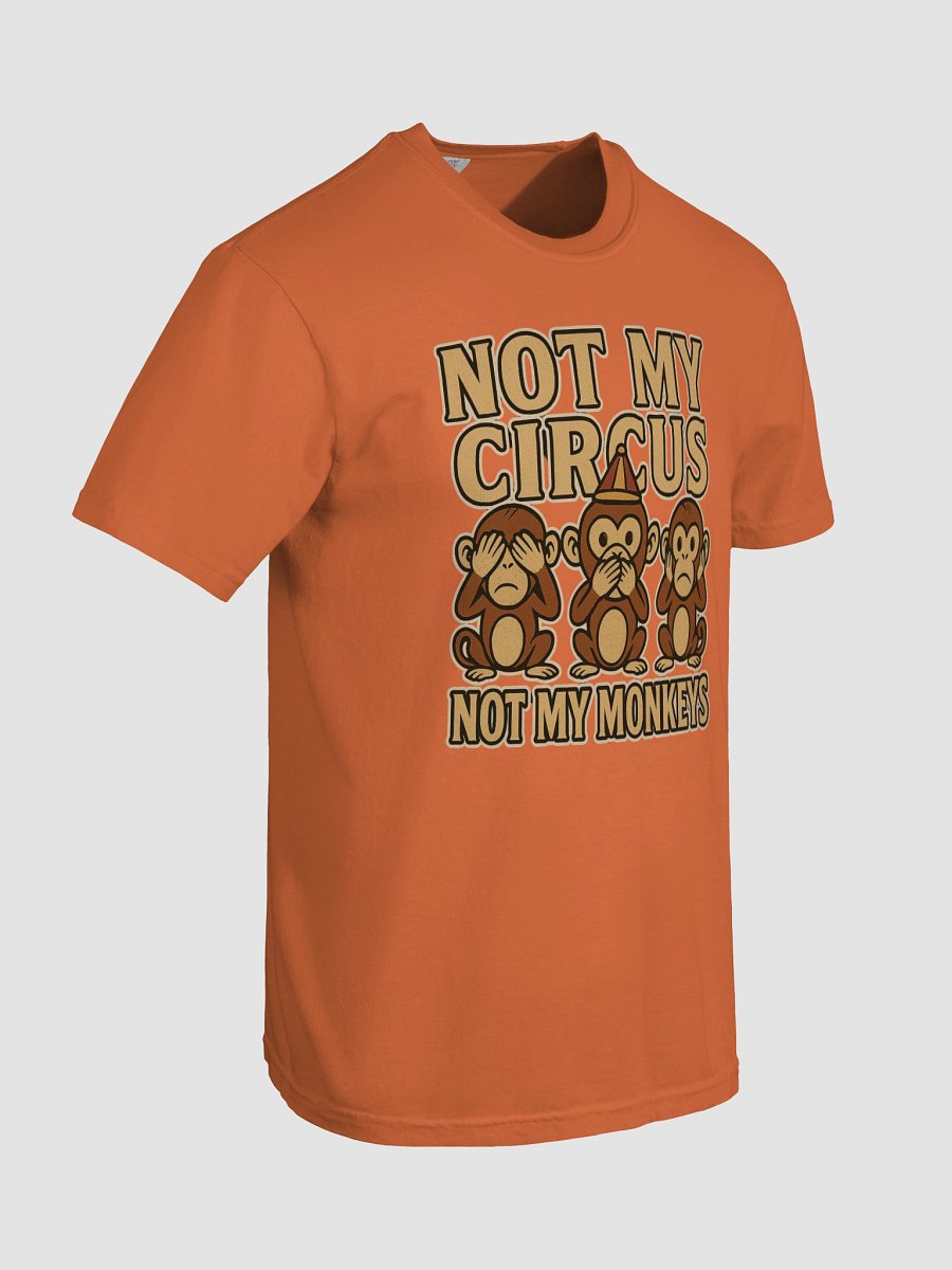 Not My Circus, Not My Monkeys Graphic Tee product image (81)
