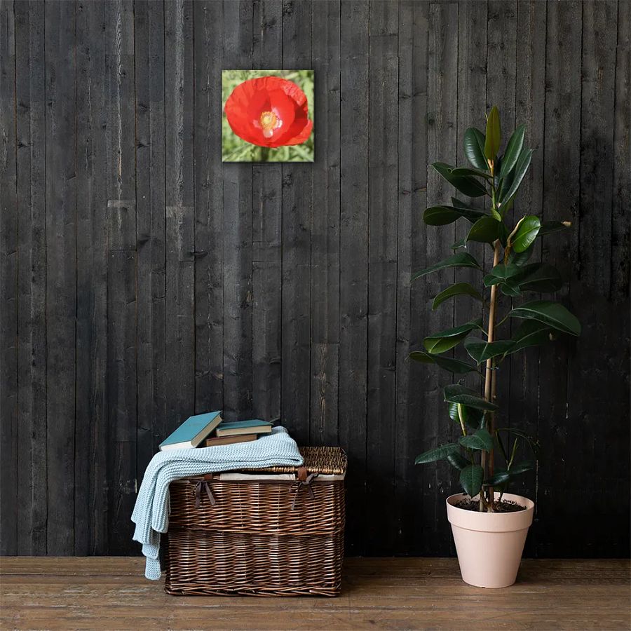 Red Poppy product image (5)