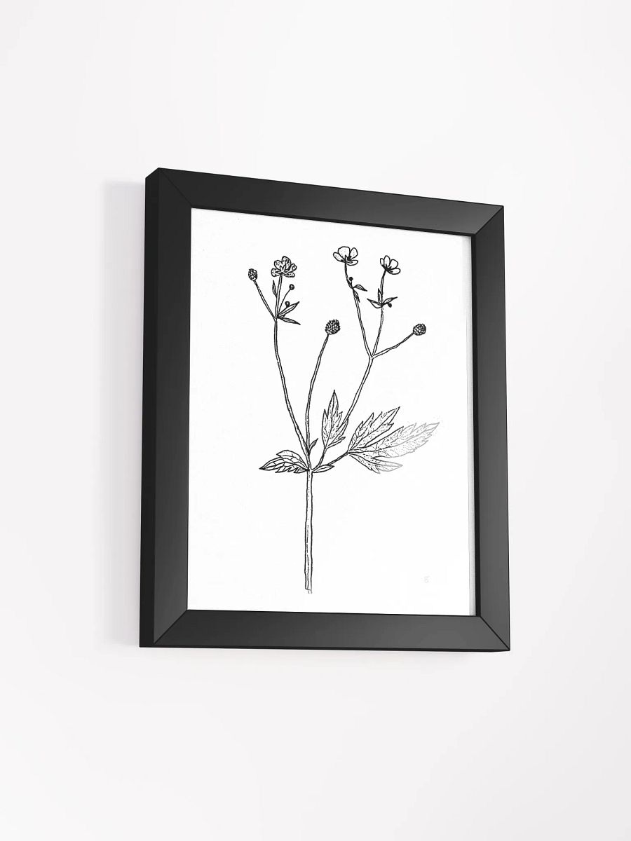 Botanical Bliss Framed Matte Poster - Wild Flowers product image (6)
