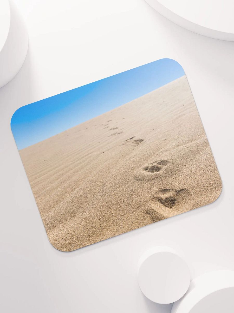Salton Sea Coyote product image (7)
