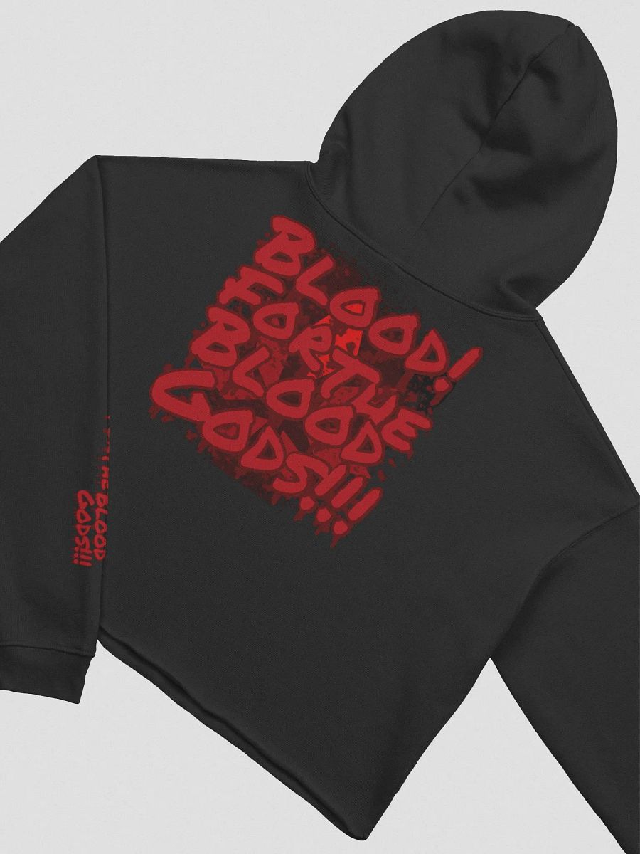 Blood Gods Cropped Hoodie product image (4)