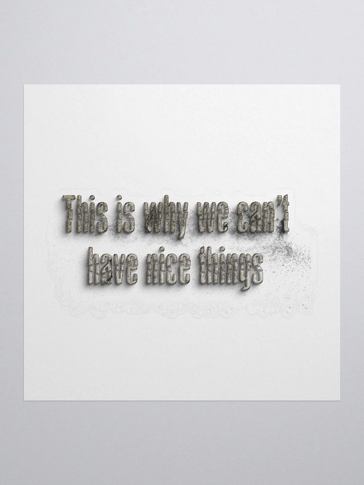 THIS IS WHY WE CAN'T HAVE NICE THINGS product image (1)