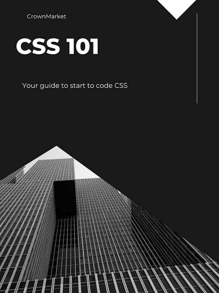 CSS 101 product image (1)