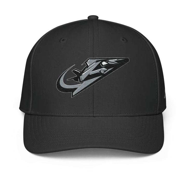 Virginia Beach Nighthawks Adidas Performance Hat product image (1)