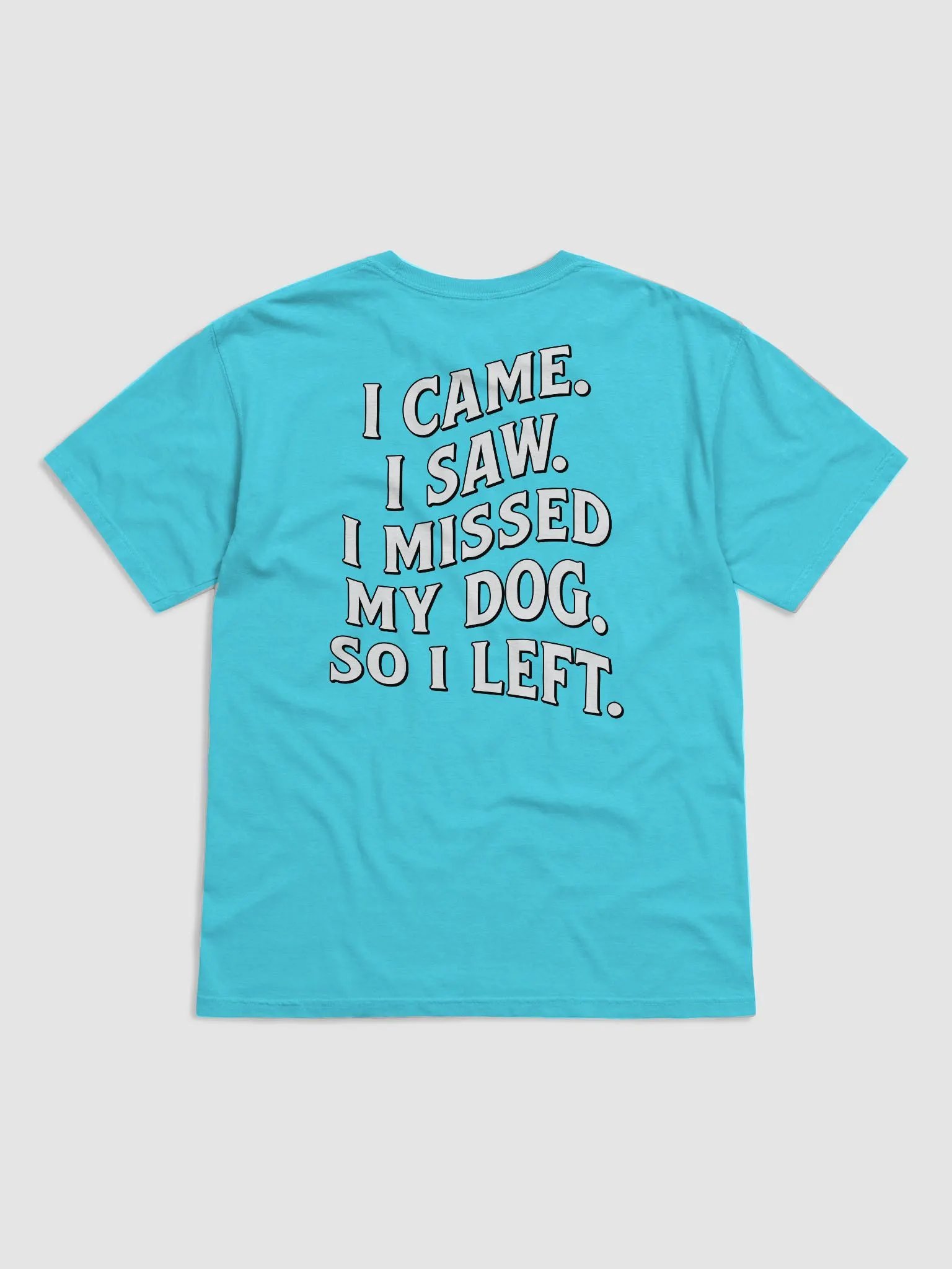 I Came, I Saw, I Missed My Dog, So I Left | Funny Introverted T-Shirt for Dog Moms product image (10)