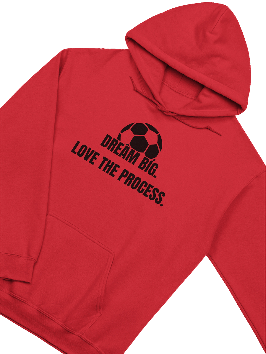 Dream Big. Love The Process Comfort Hoodie product image (29)