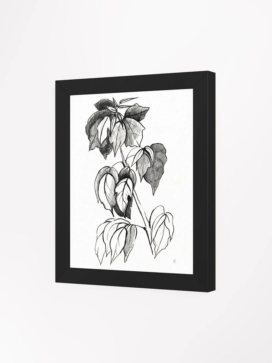 Botanical Sketch Framed Matte Poster - Stylish Graphical Twig product image (8)