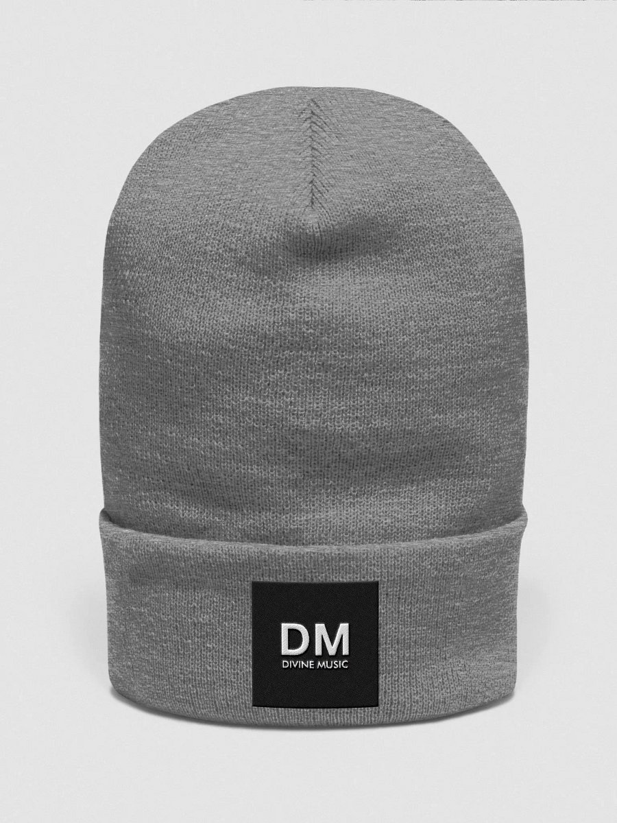 DIVINE BEANIE GRAY product image (1)