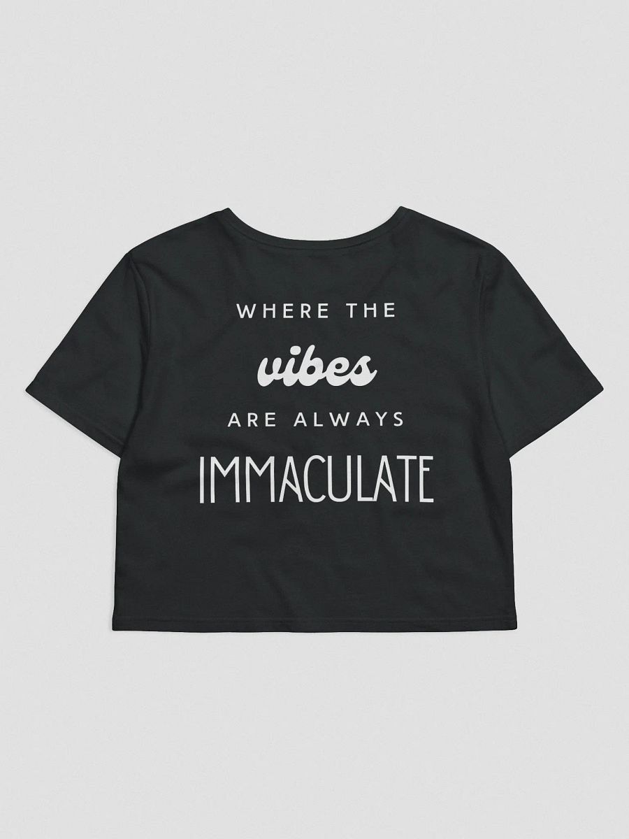 Immaculate Vibes Crop T Shirt product image (2)
