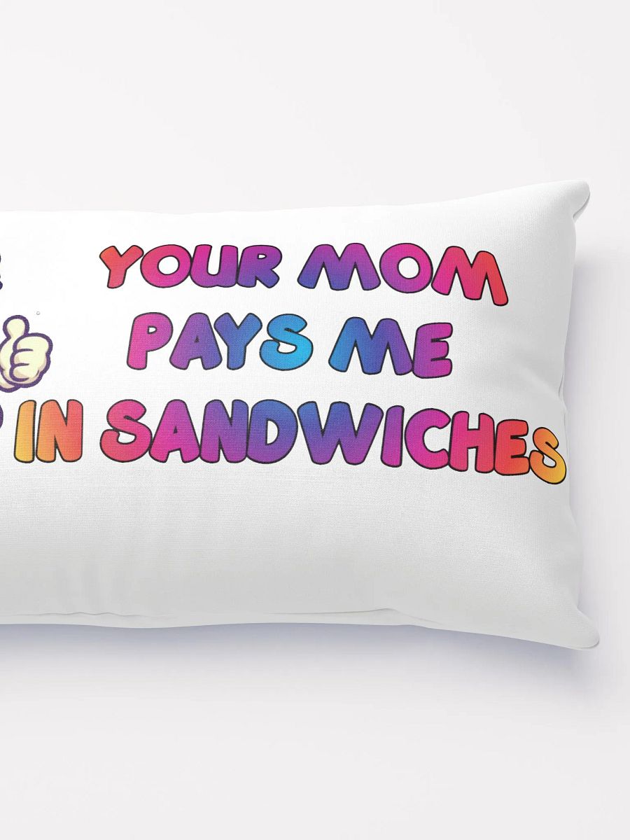 Jay - Pillow - Your mom pays me in sandwiches product image (5)