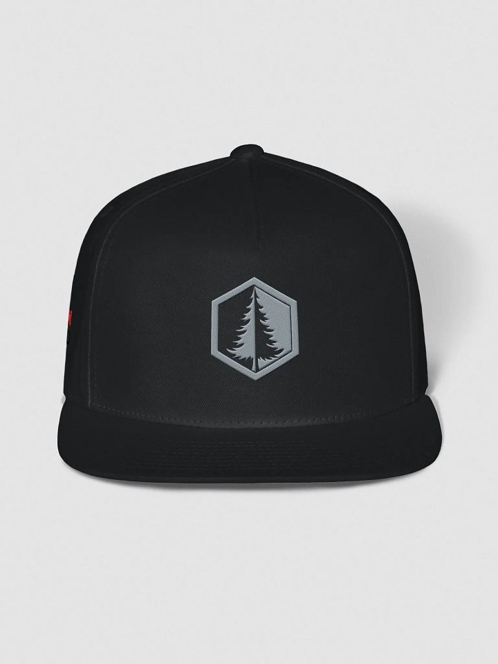 Snap Back (Grey Logo) product image (6)