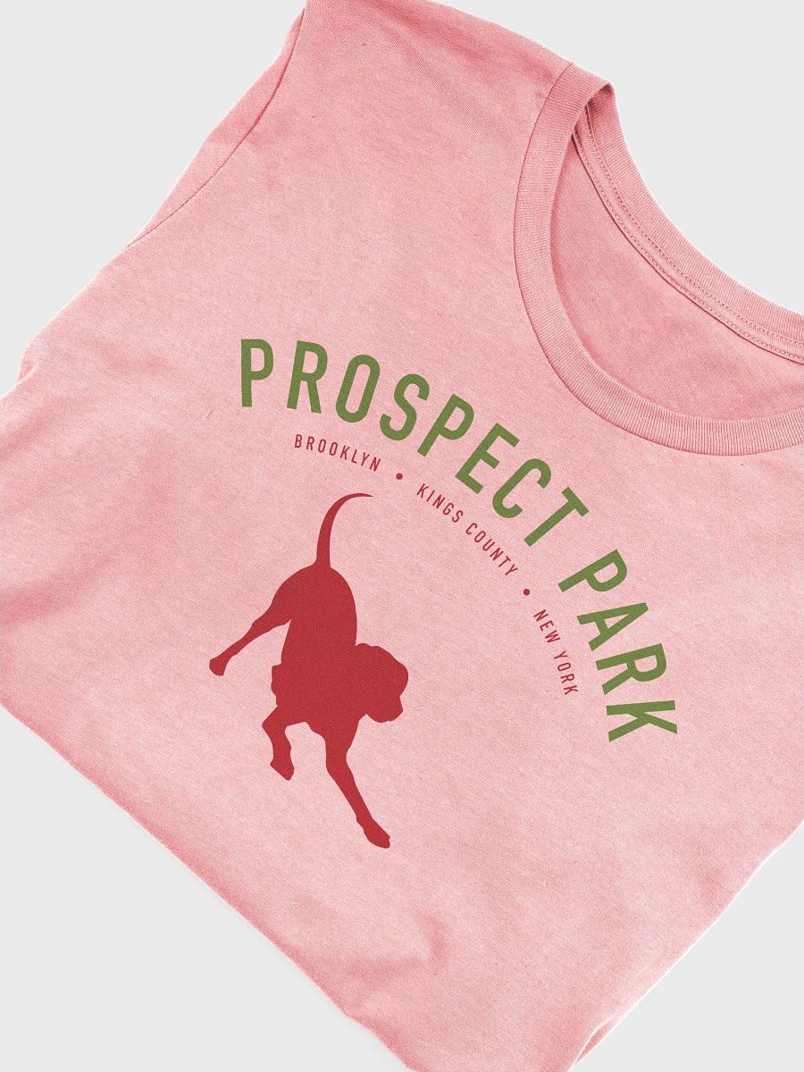 Prospect Park Pink Tee product image (5)