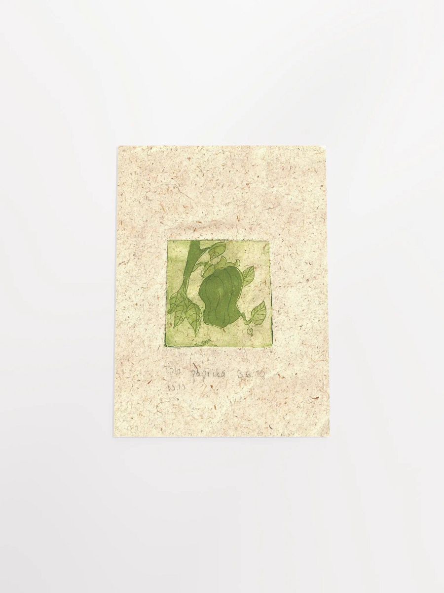 Green Paprika, Botanical Art Print product image (13)