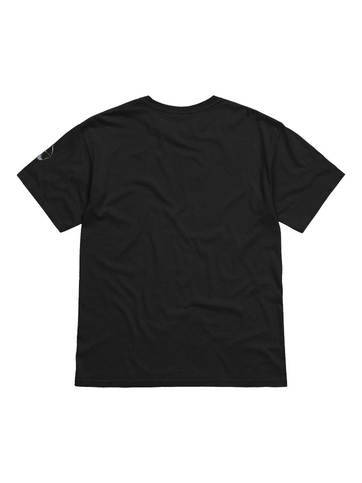 Soarin' Hand-Drawn T-Shirt product image (10)