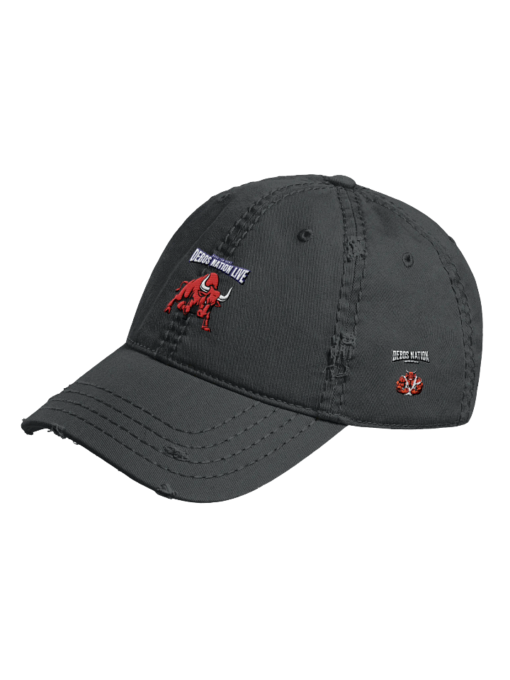 New Dad Hat product image (2)