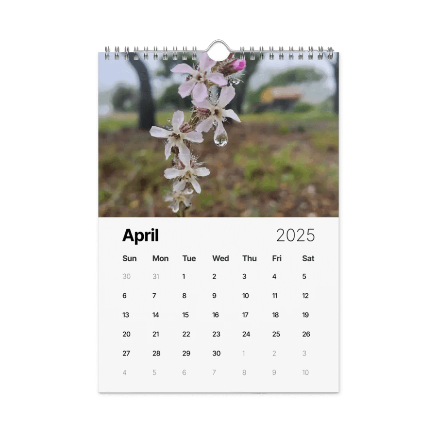 2025 Calendar product image (1)