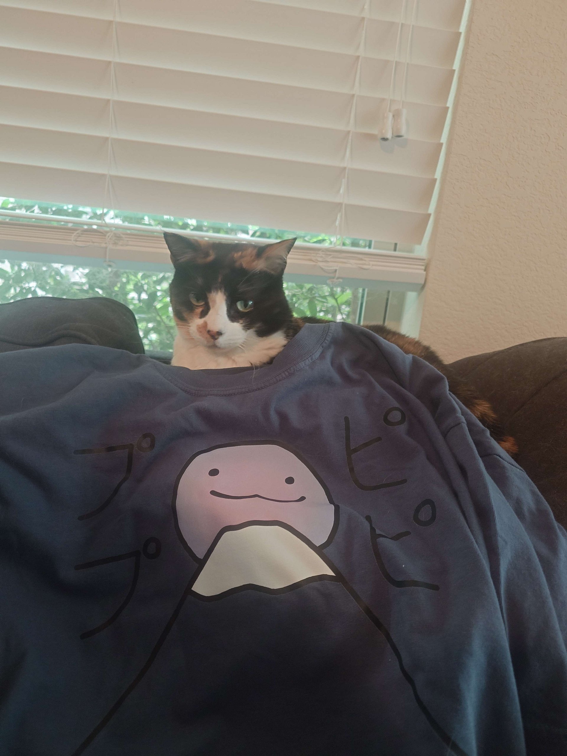 Japan product image (5)