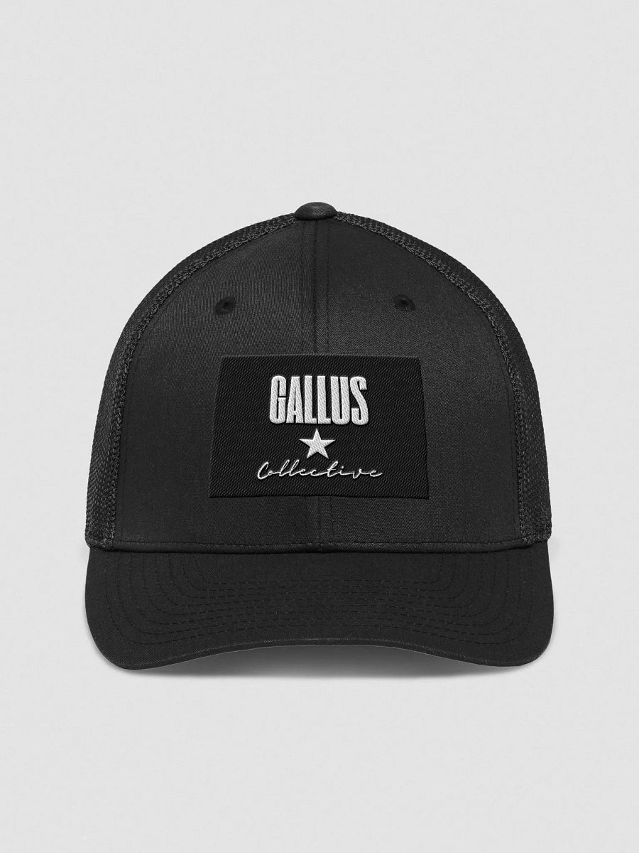 Gallus Classic Logo product image (1)