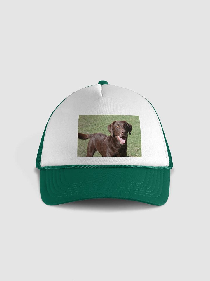 ranger product image (1)