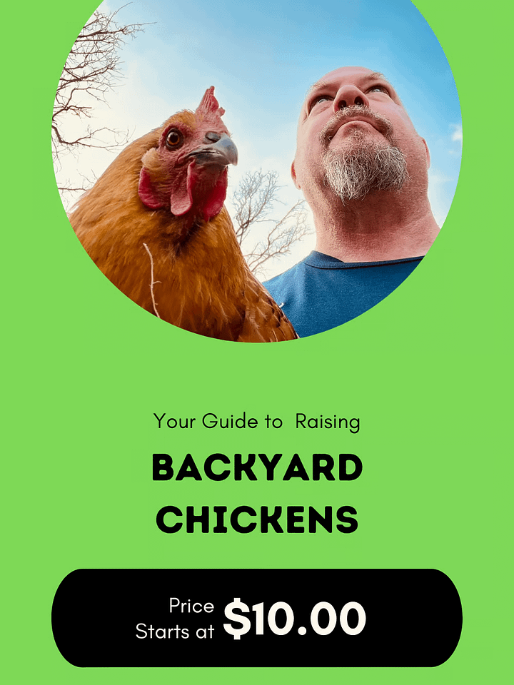 Raising Backyard Chickens product image (1)