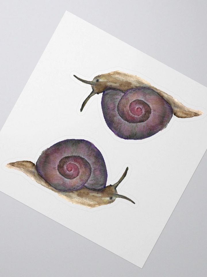 Snail (Helicina wettsteini) sticker product image (2)