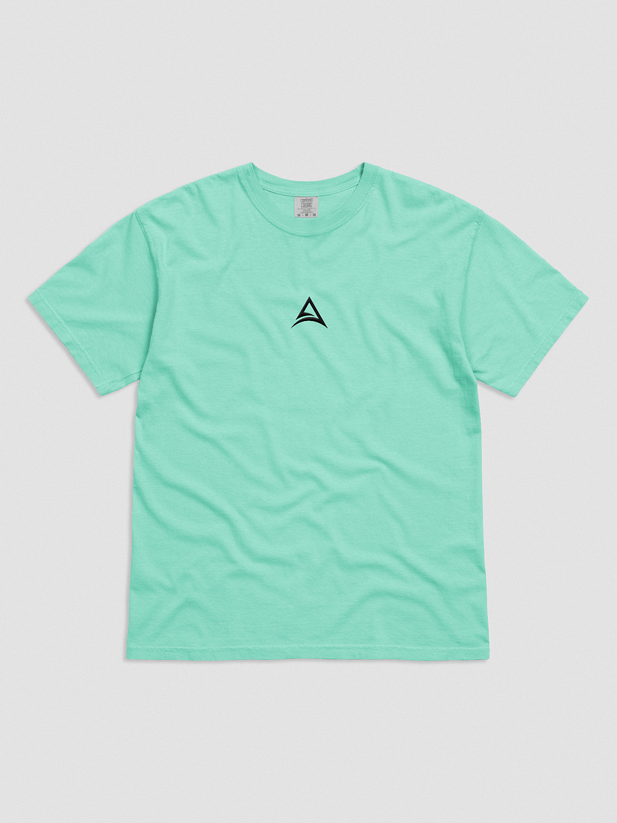 ASCENDANCY T-Shirt // Logo Black product image (21)