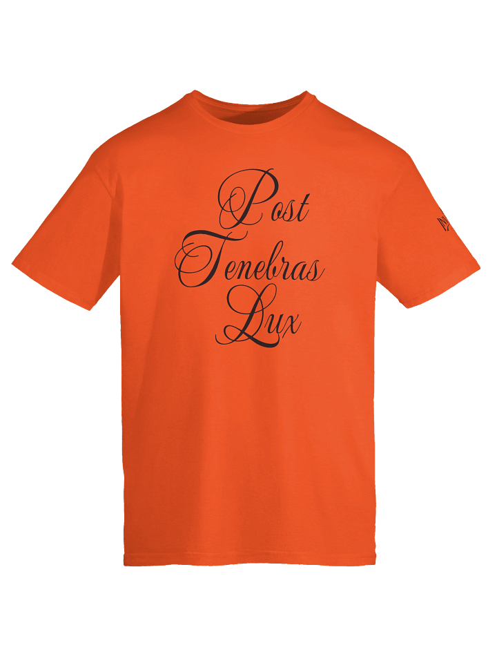 CAMISETA PTL UNISEX 2 product image (15)