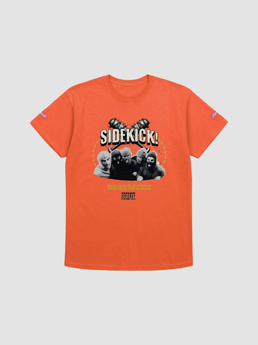 SideKick of Aspero Gildan Heavyweight T-Shirt product image (25)
