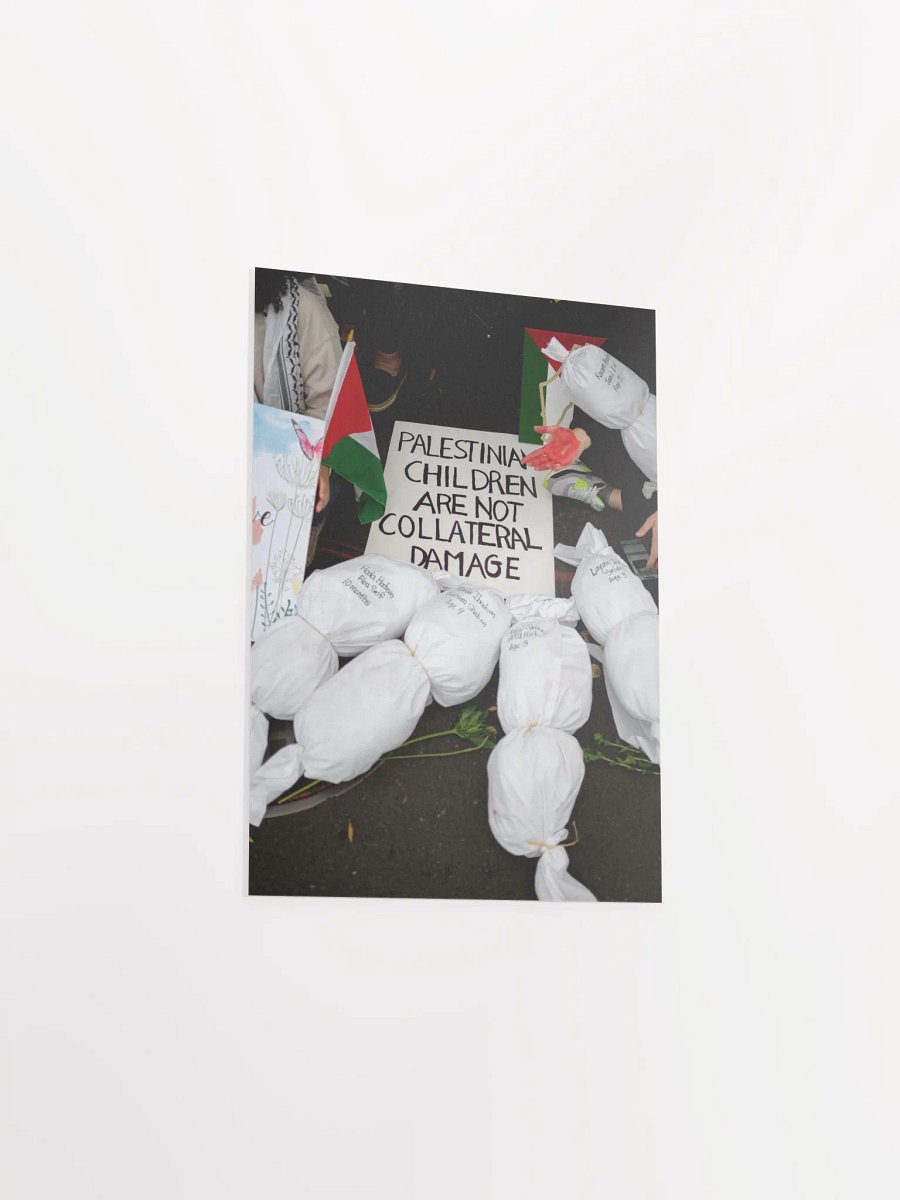 Collateral Damage (no frame) product image (3)