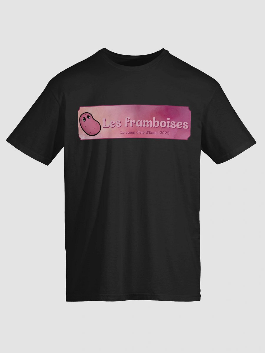 ''Les framboises Camp 2025'' T-shirt softstyle unisexe product image (67)