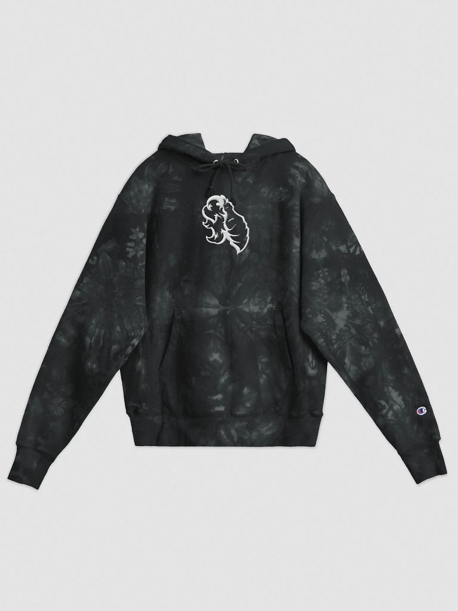 Foundations Molotov Embroidered Champion Tie-Dye Hoodie product image (1)