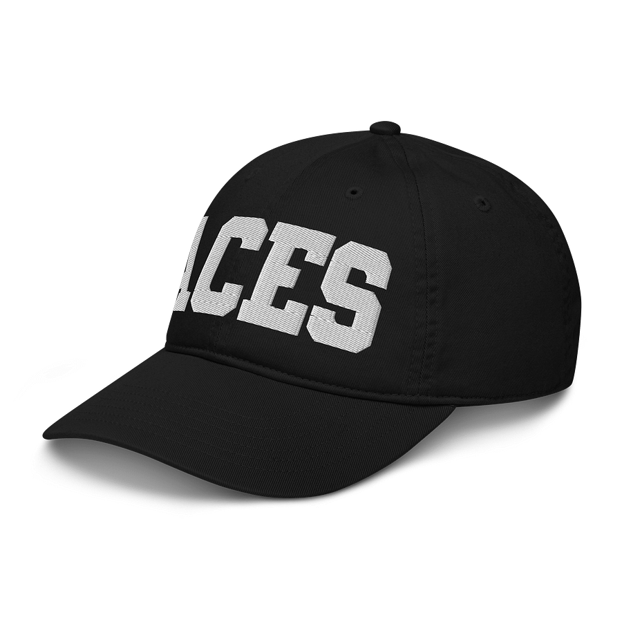 Aces Organic Dad Hat by Econscious product image (4)