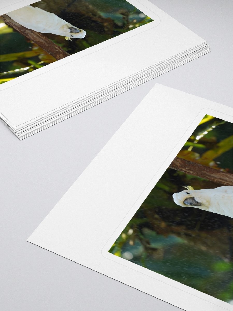 Crested Parrot Kiss Cut Stickers product image (4)
