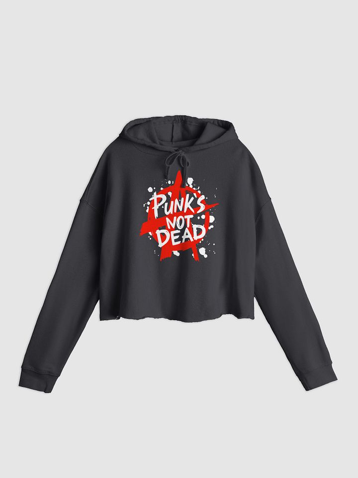 Punk´s not dead product image (1)