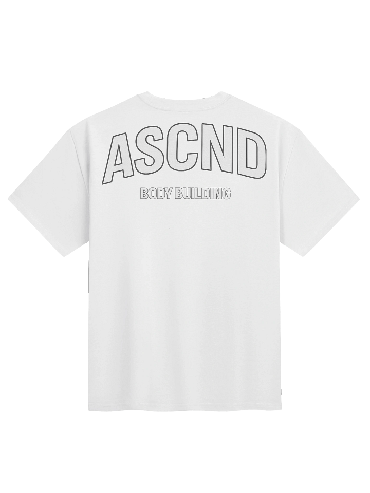 Ascend Bodybuilding Heavyweight Tee product image (6)