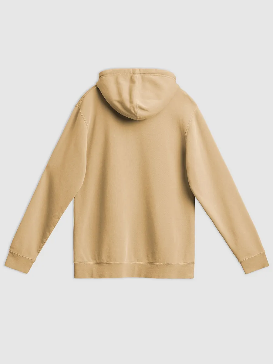 REIGNITE THE FIRE HOODIE UNISEX product image (11)