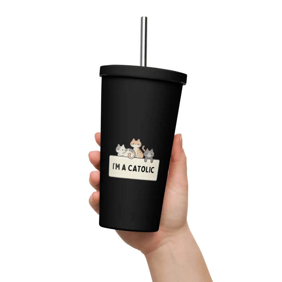 Catolic Insulated Tumbler with Straw product image (11)