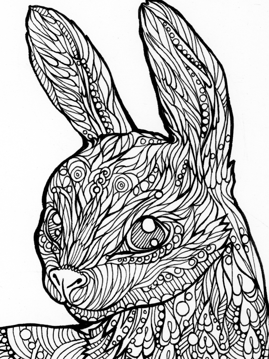 Bunny Swirlimal Coloring Page 2 November 2025 product image (1)