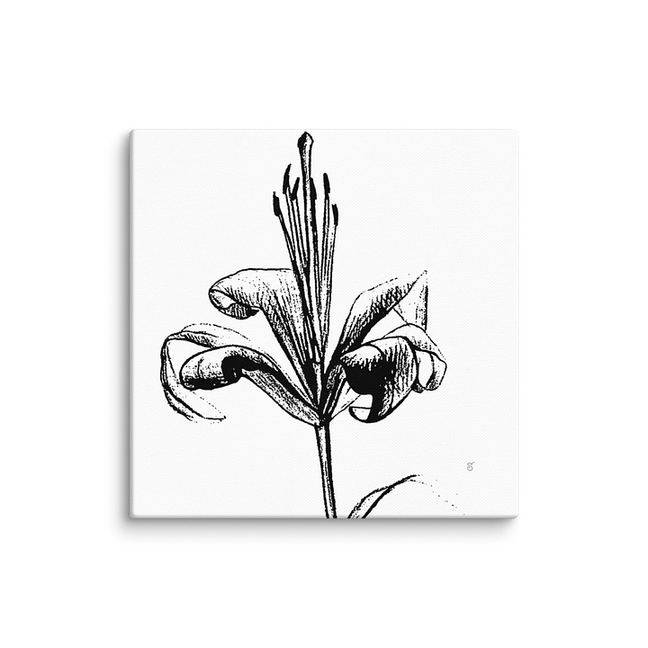 Lily Line Art Canvas Print - Fine Flower Light product image (1)