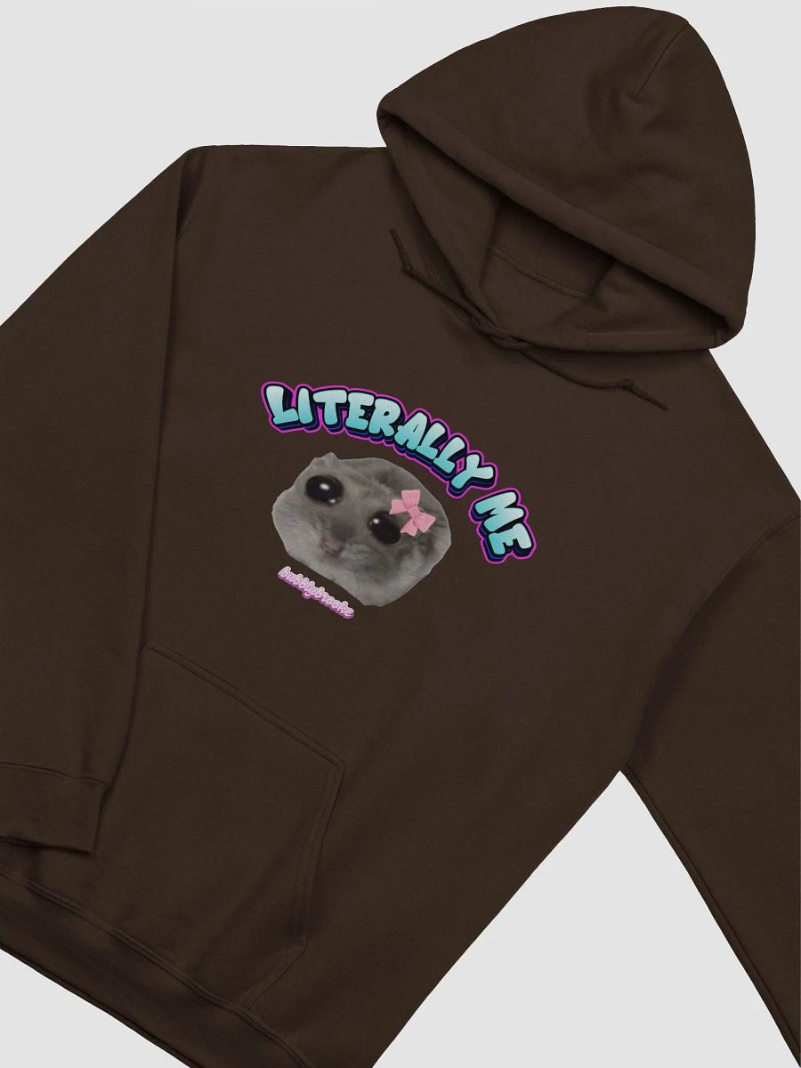 LITERALLY ME HOODIE product image (2)