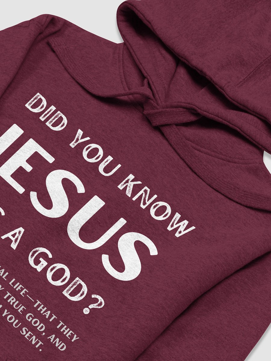Jesus Had a God Unisex Premium Regular Fit Hoodie product image (25)