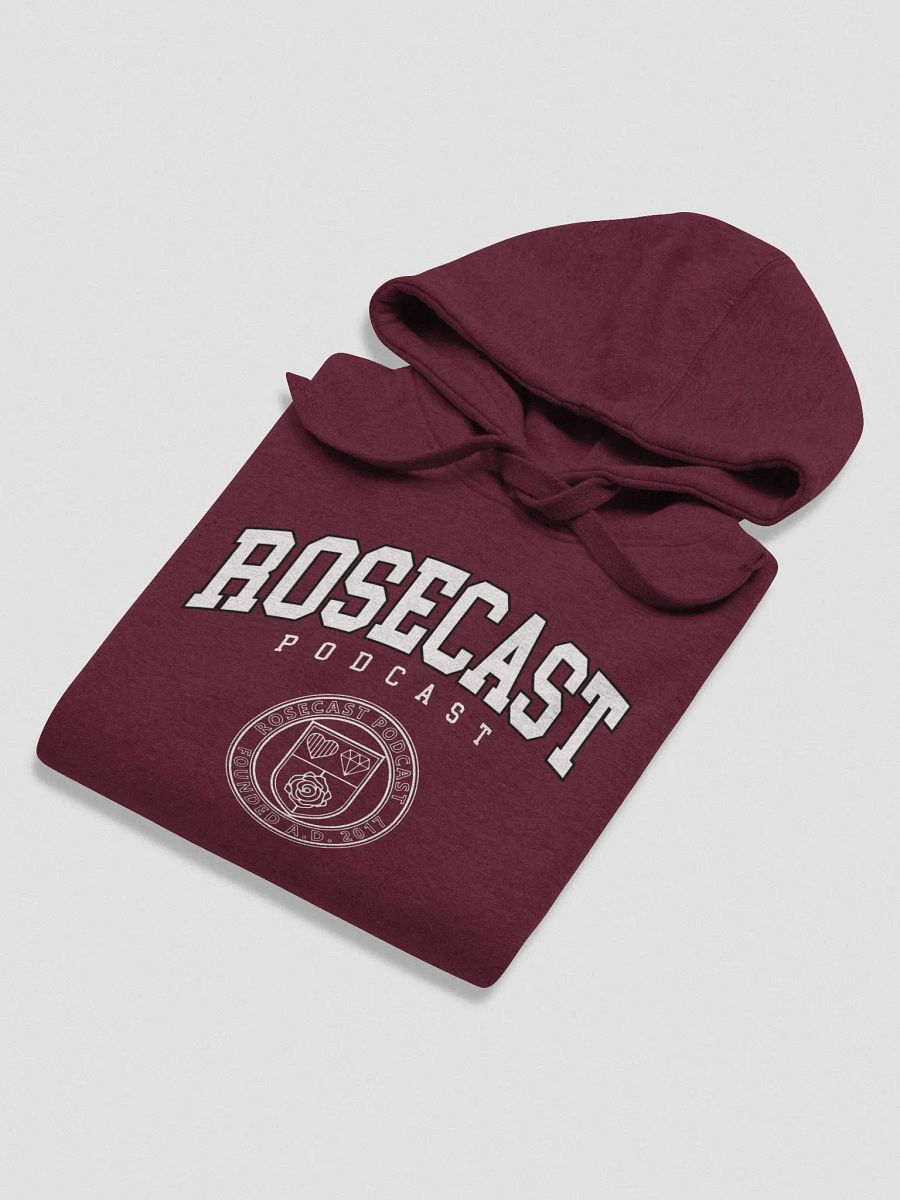 Fancy College Hoodie (Premium) product image (5)